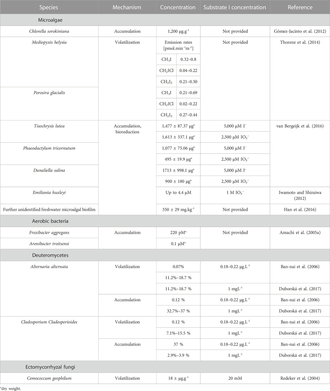 Efficient bioremediation of radioactive iodine using biogenic gold