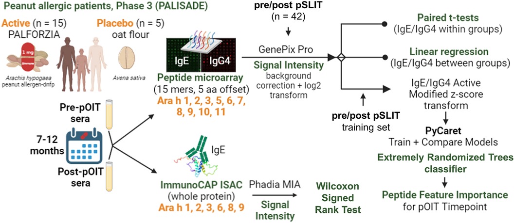 Frontiers  IgE Epitope Profiling for Allergy Diagnosis and