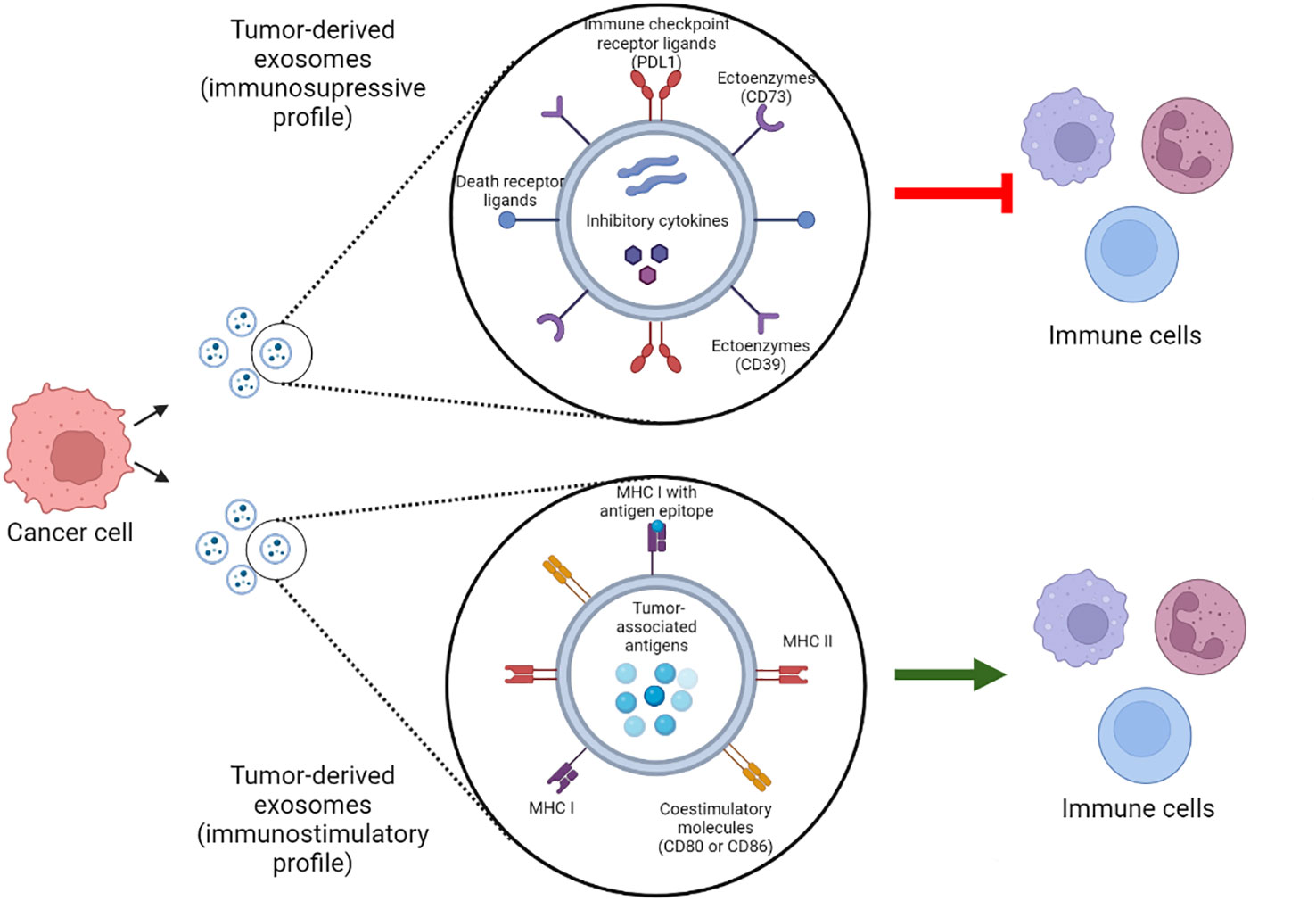 Frontiers | Landscape of tumor and immune system cells-derived 