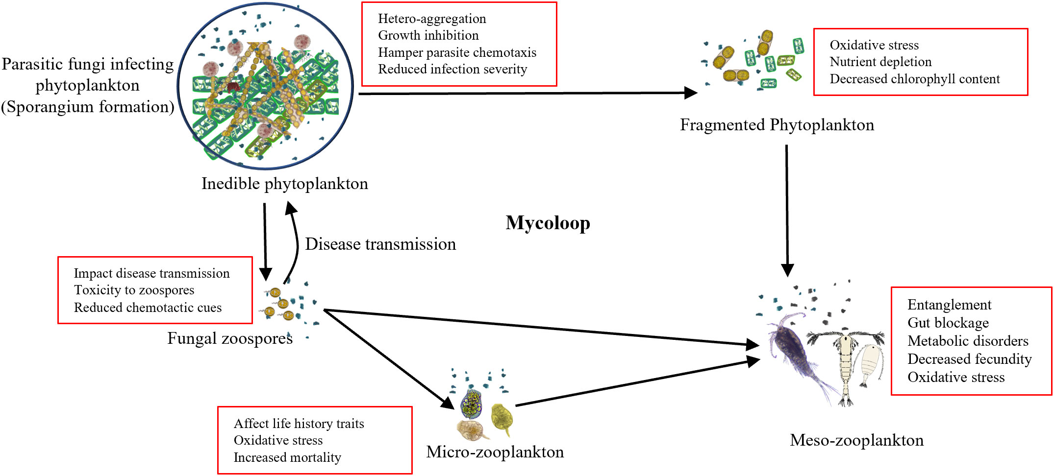 TRAVERSIN MICROFIBRE Alliance