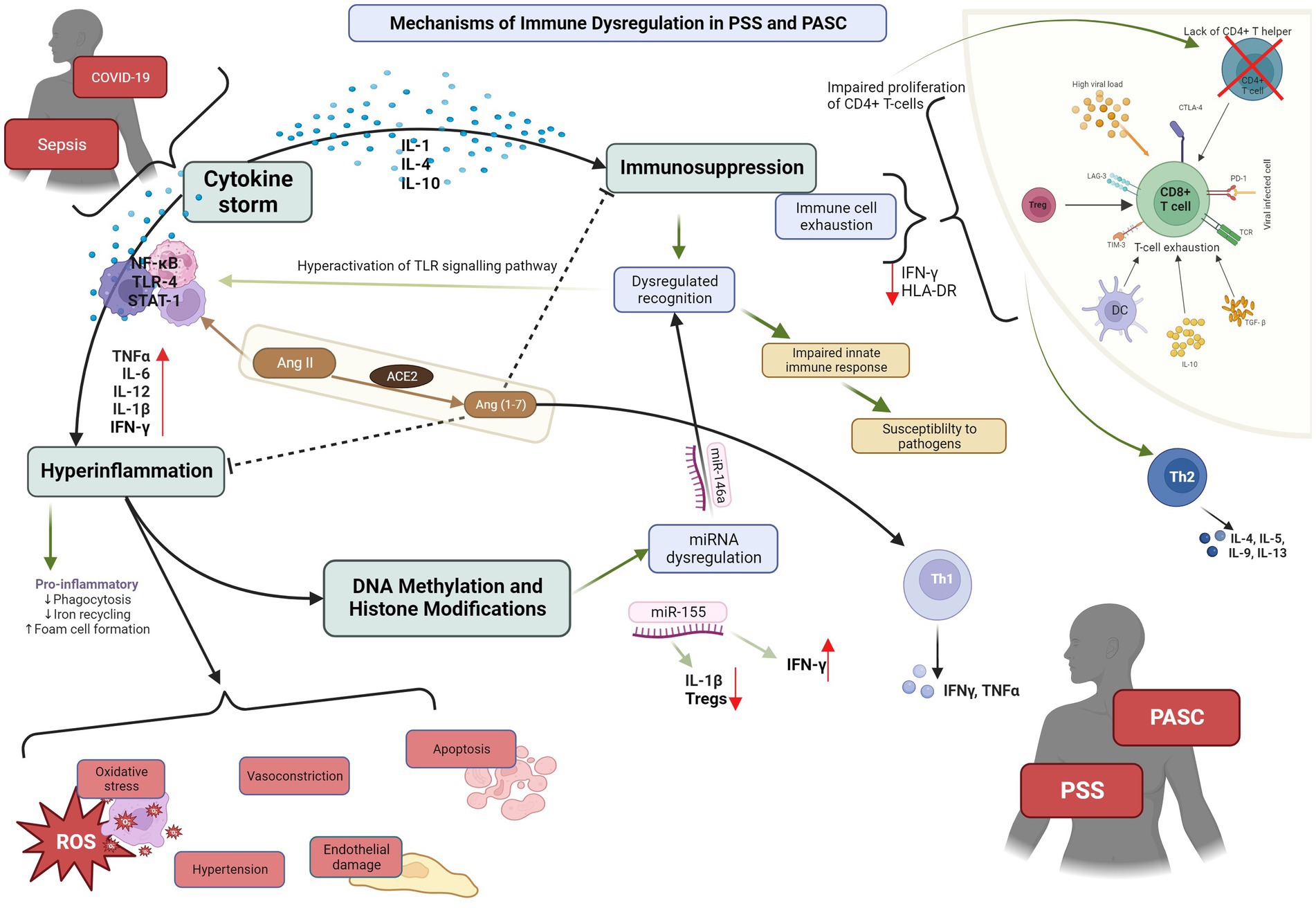 Frontiers  Exploring post-SEPSIS and post-COVID-19 syndromes