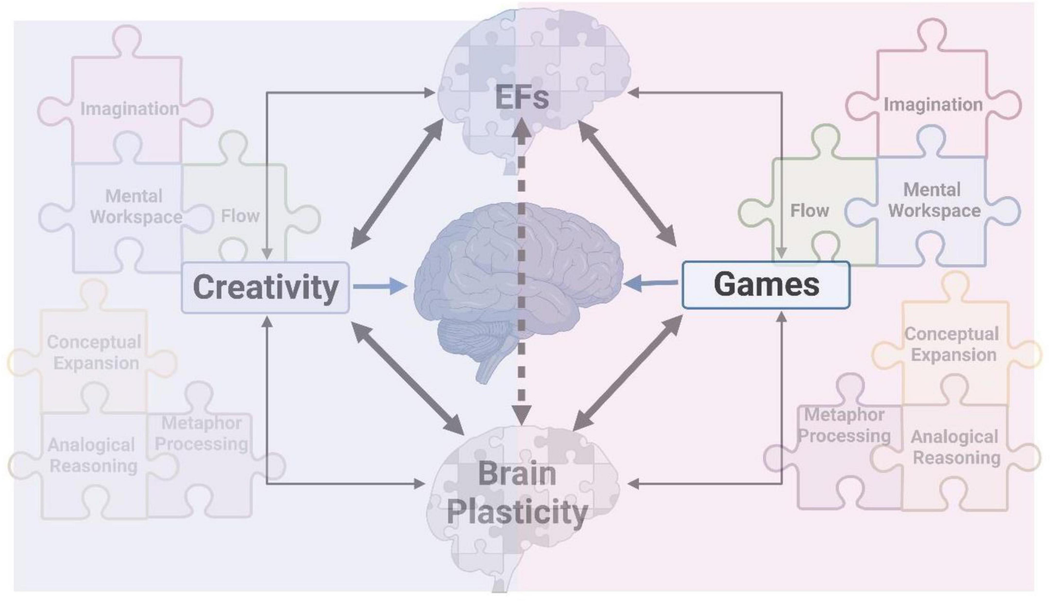 Playing Super Mario induces structural brain plasticity: gray matter  changes resulting from training with a commercial video game