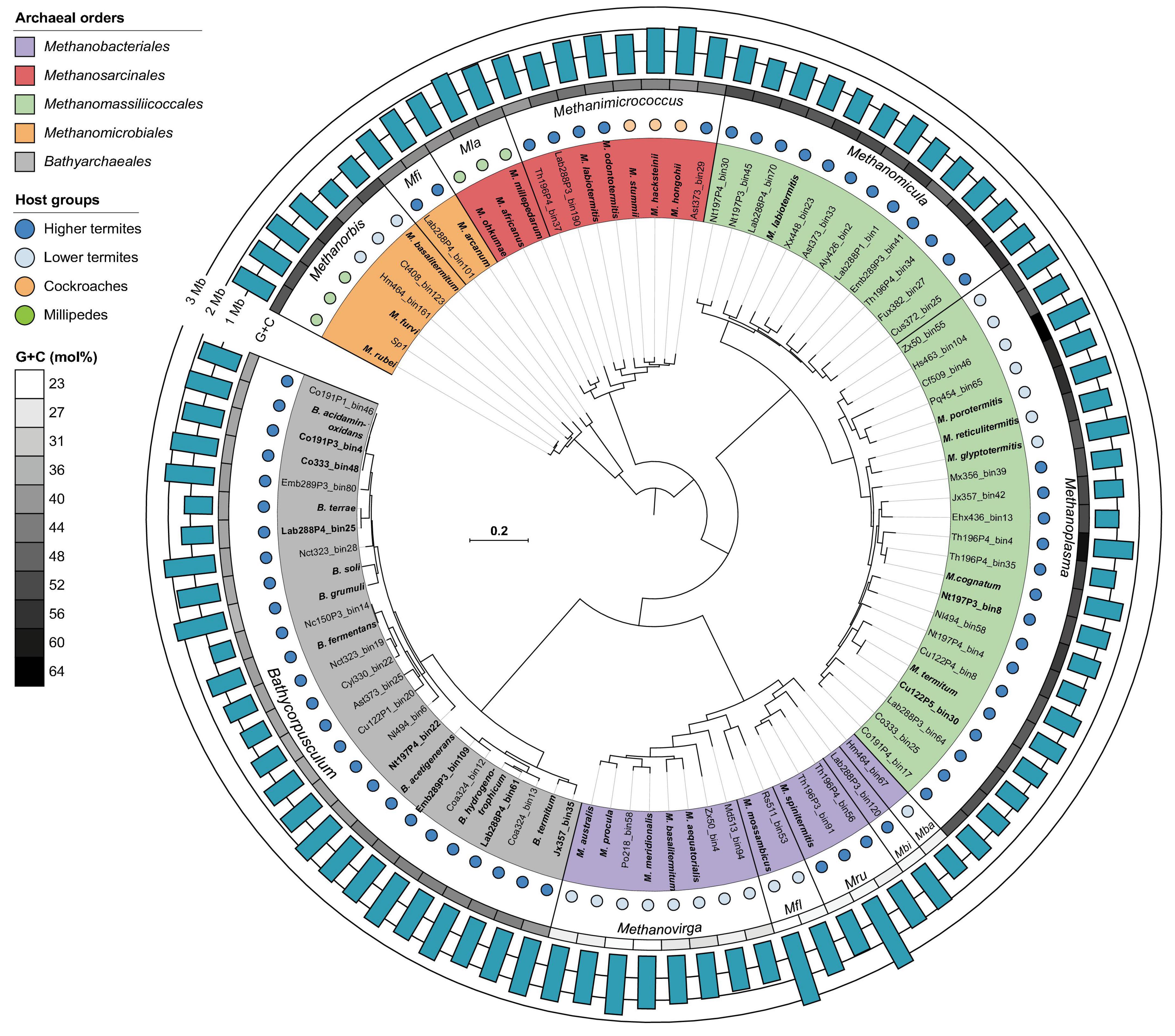 SeqCode: a nomenclatural code for prokaryotes described from sequence data