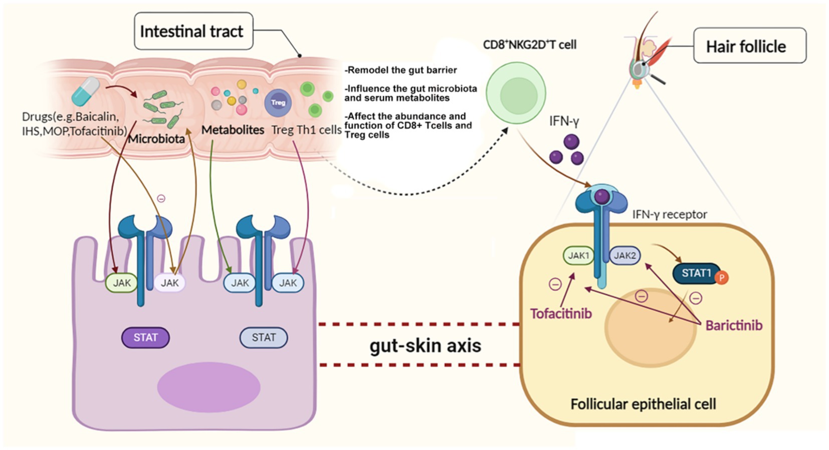 The dynamics and interactions between the skin metabolome, microbiome, and  UV exposure