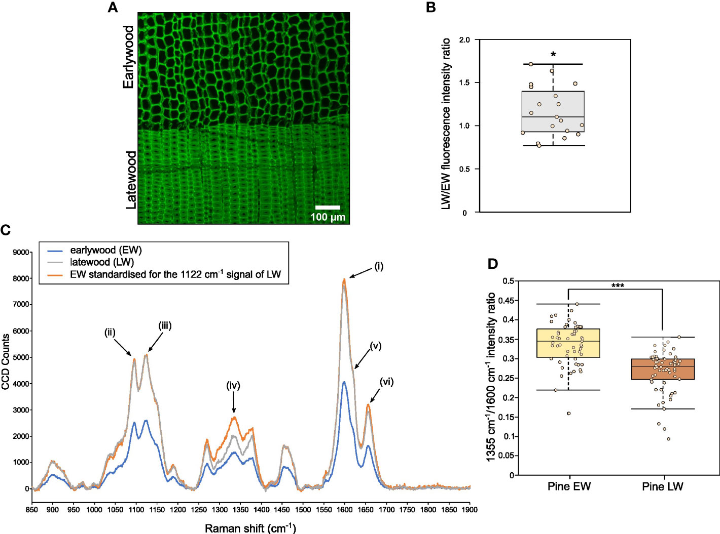 Frontiers  Identification of WRKY gene family members in amaranth based on  a transcriptome database and functional analysis of AtrWRKY42-2 in betalain  metabolism