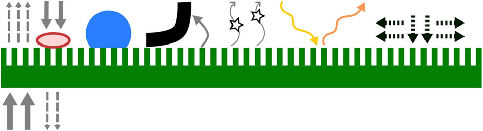 www.frontiersin.org
