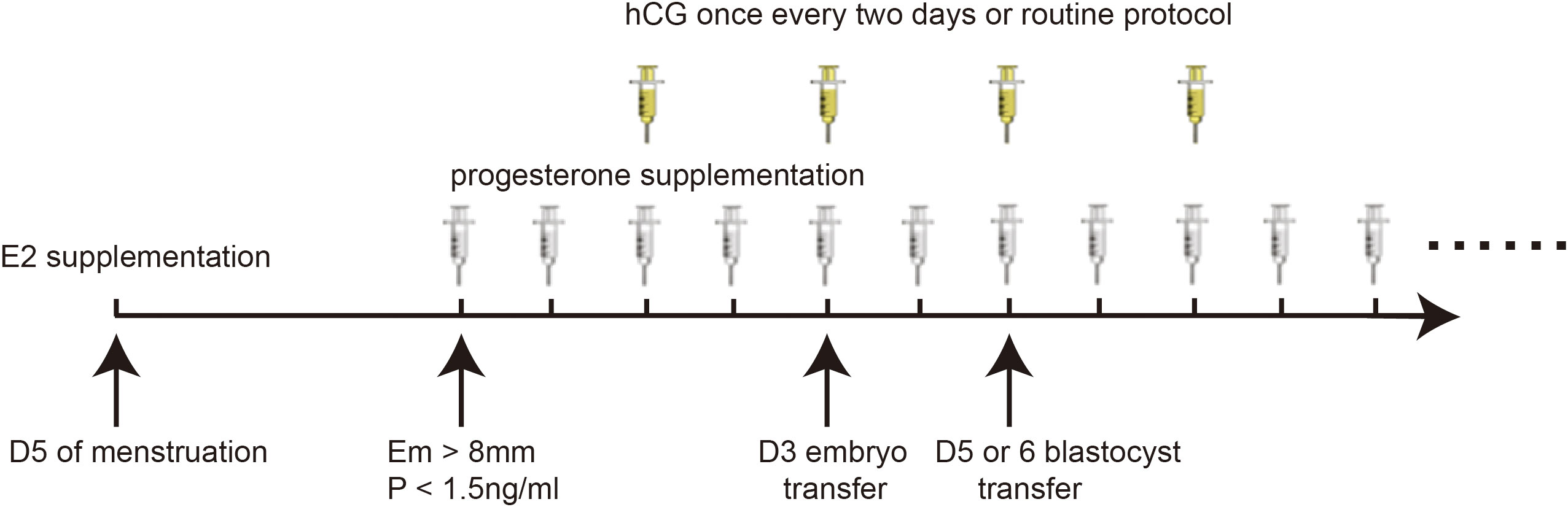 Frontiers  Intramuscular injection of human chorionic