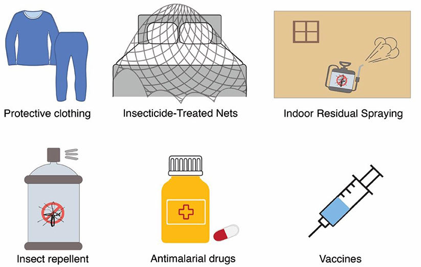 Figure 2 - Preventing the spread of mosquito-borne diseases.