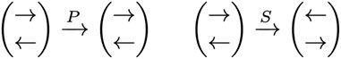 www.frontiersin.org