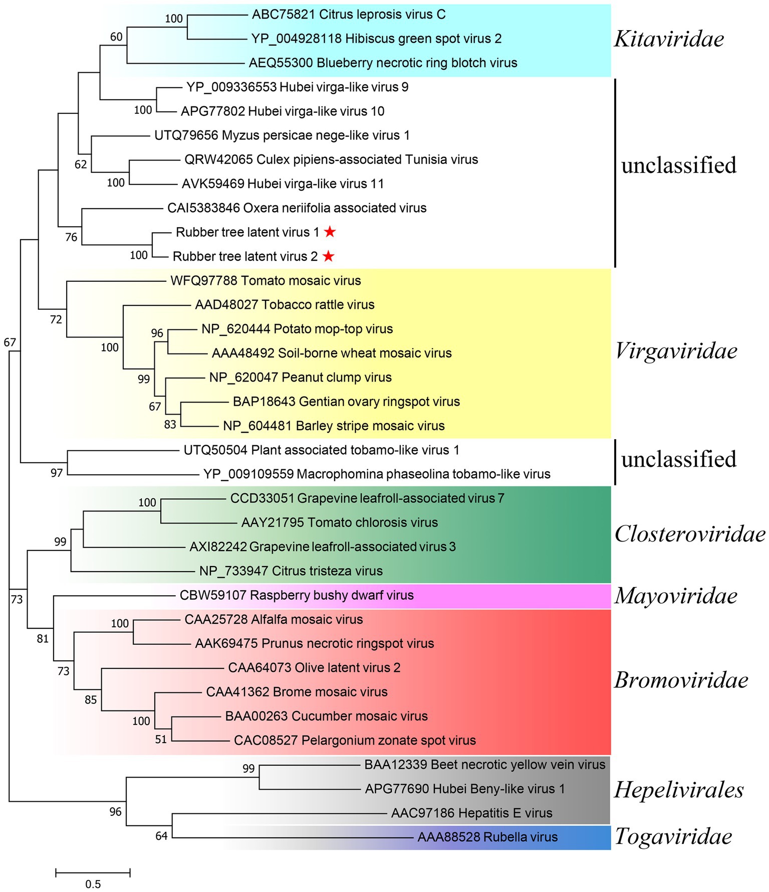 Frontiers | identification and characterization of two closely related