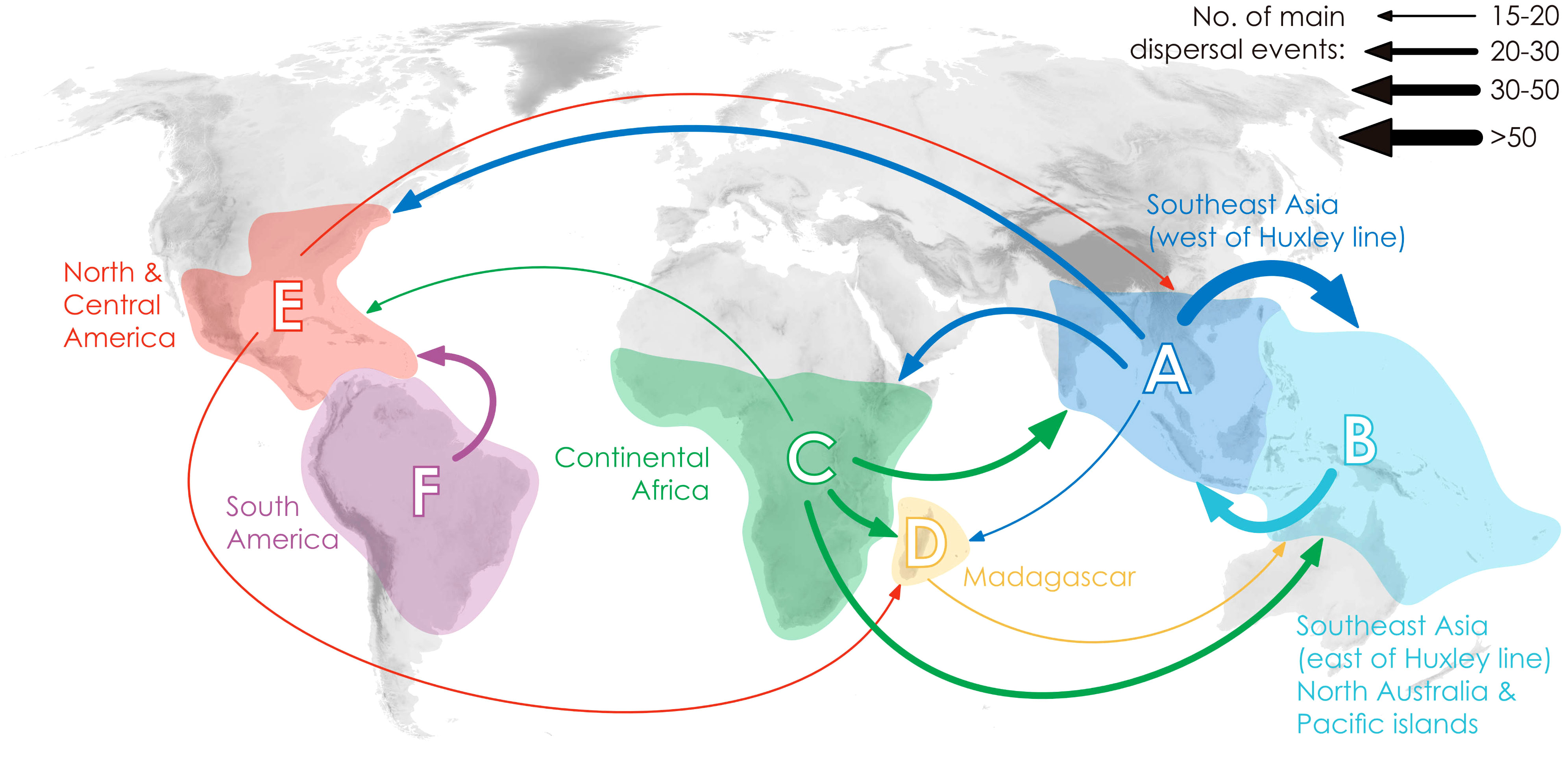 www.frontiersin.org