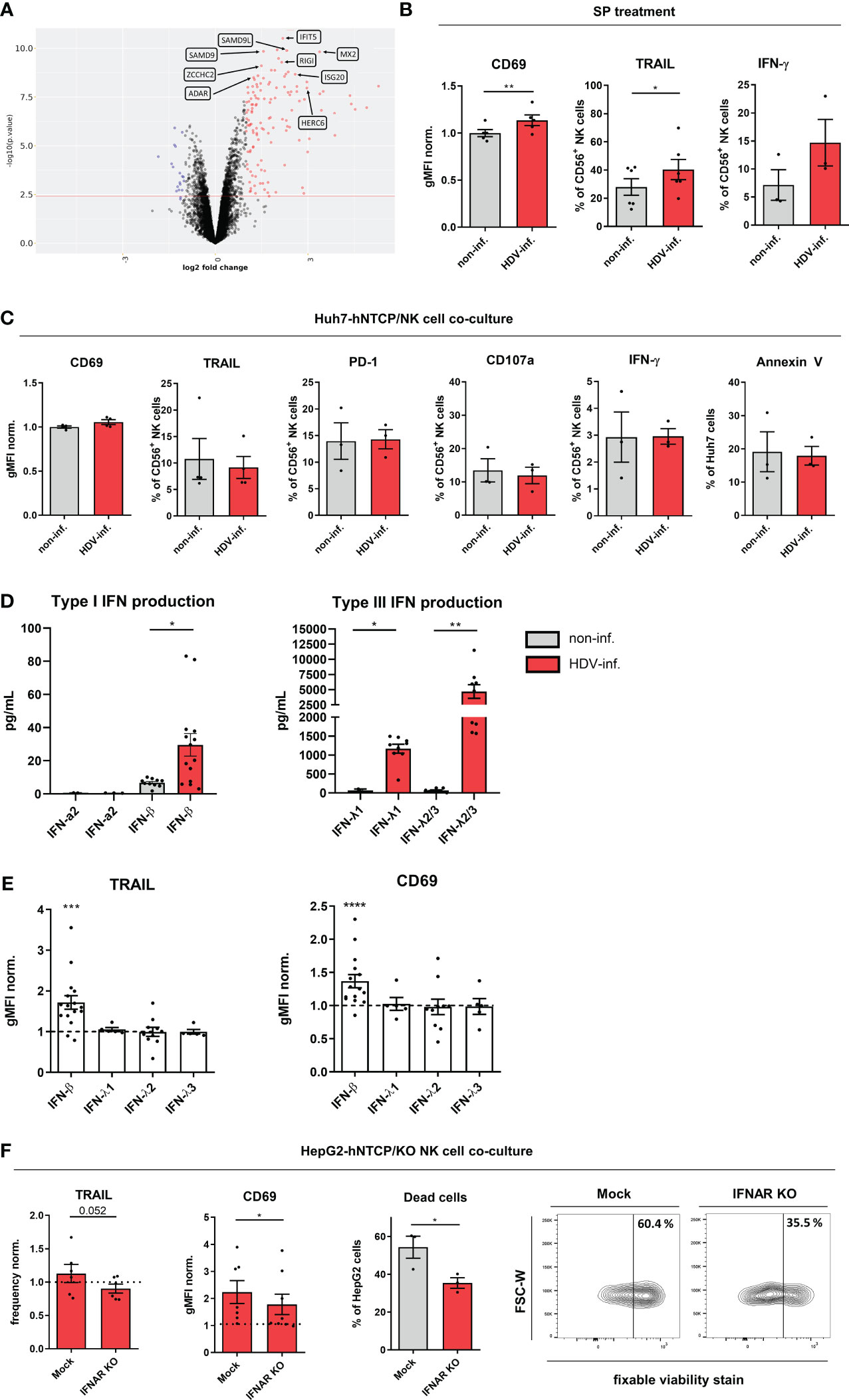 Frontiers | hepatitis d infection induces ifn-β-mediated nk cell