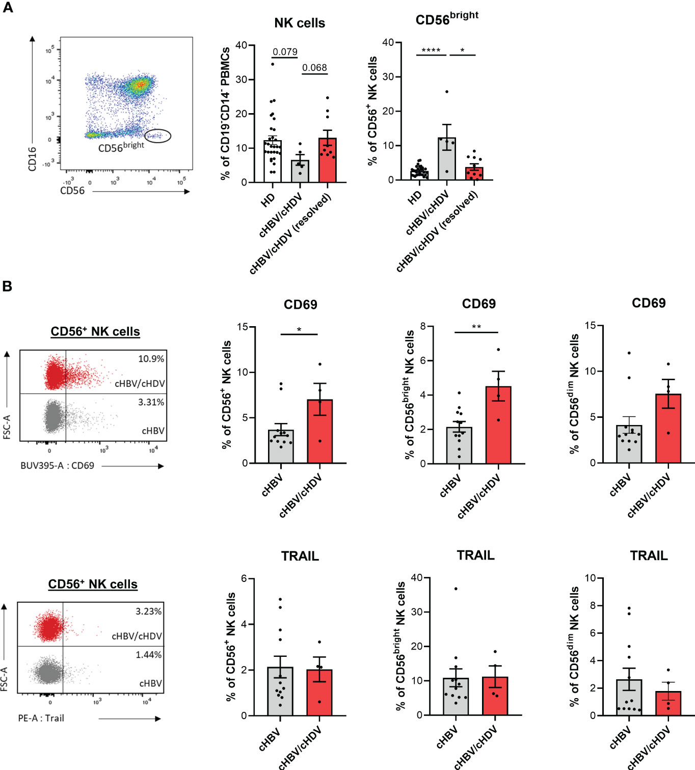 Frontiers | hepatitis d infection induces ifn-β-mediated nk cell