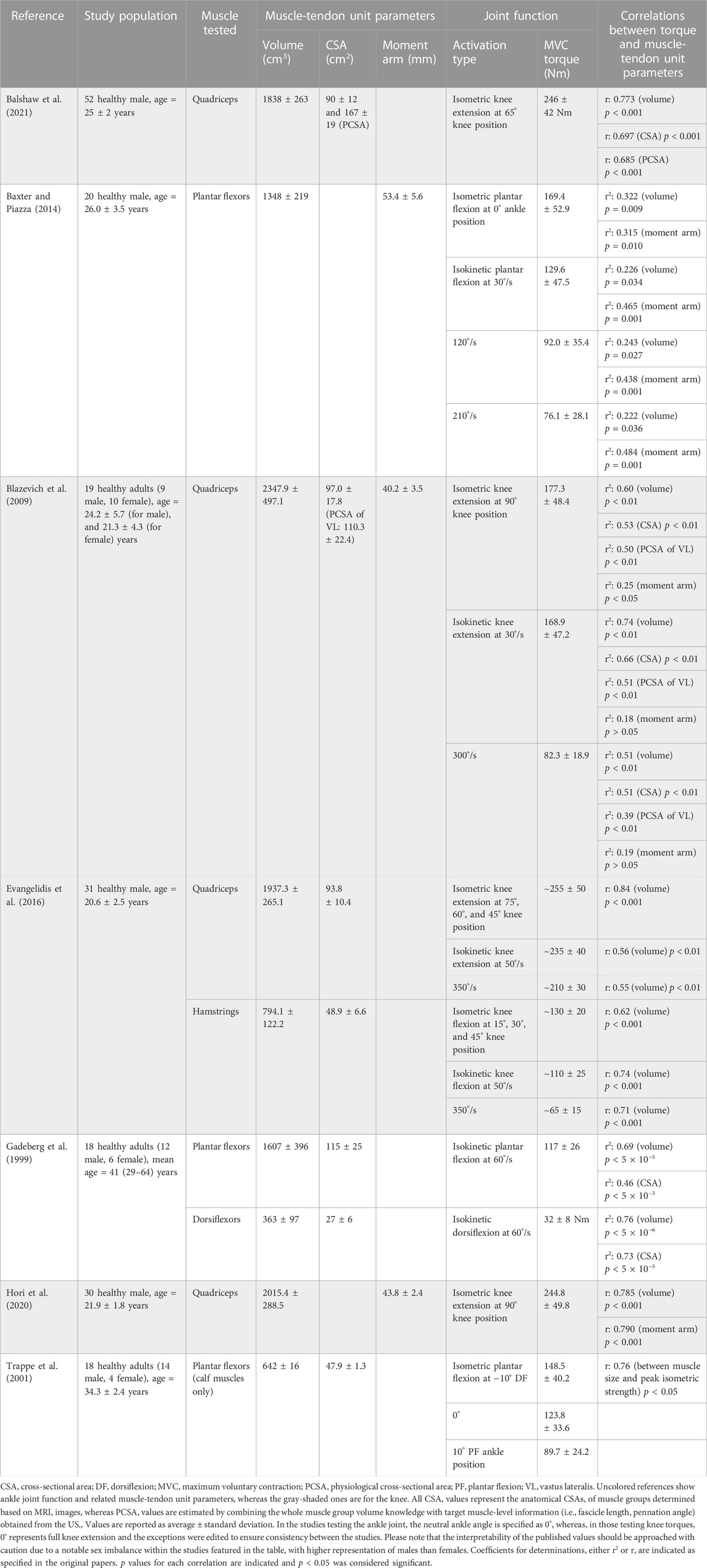 PDF] Assessment of Effective Ankle Joint Positioning in Strength