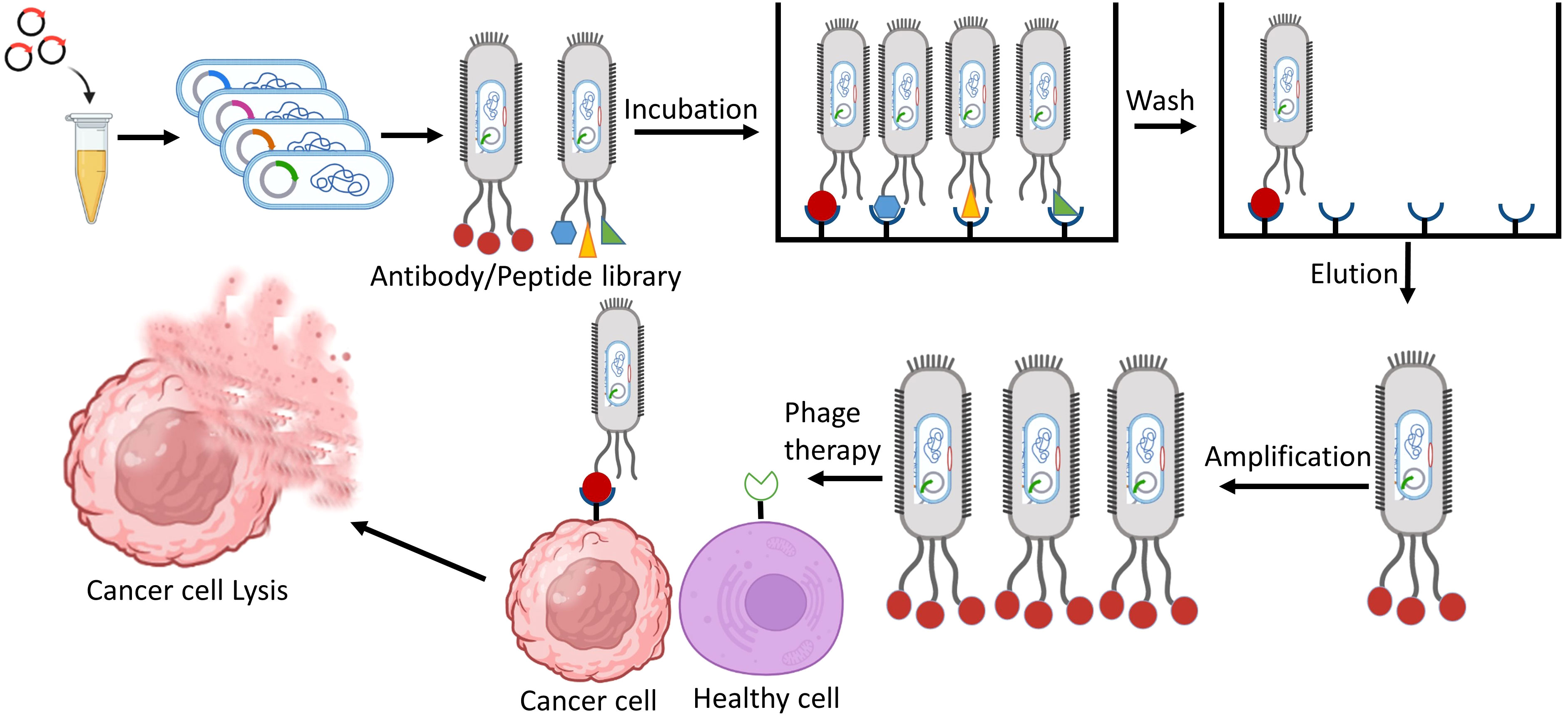 Guide to Infusion Therapy in NJ, CT, & MD – Regional Cancer Care