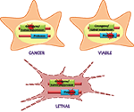www.frontiersin.org