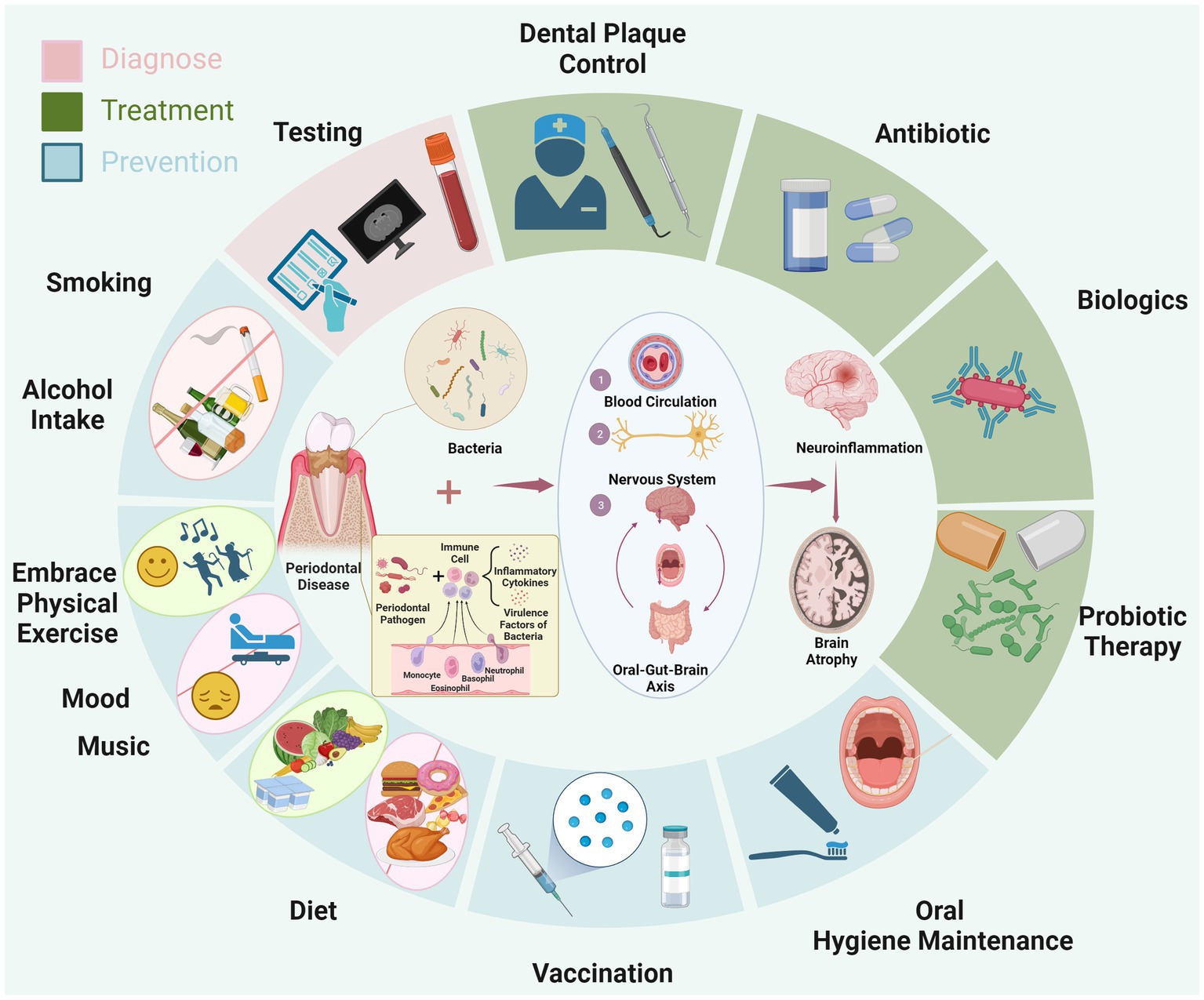 Poor Oral Health Leads To Alzheimer's: How To Fix Your Mouth For Longevity