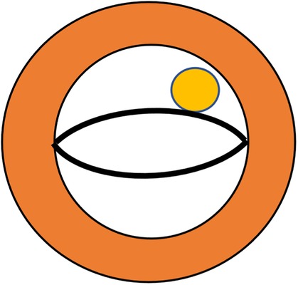 www.frontiersin.org