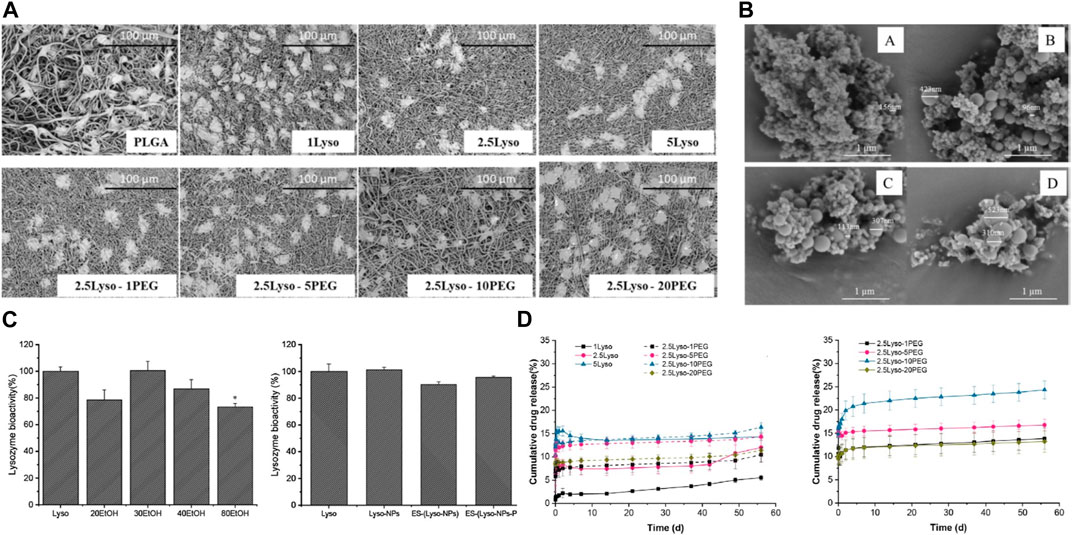 Frontiers | Exploring the therapeutic potential of recombinant human ...