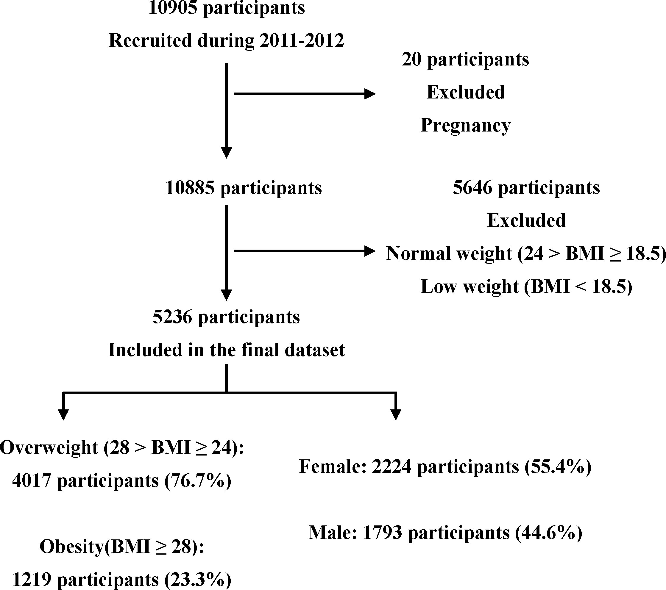 Frontiers  Predicting risk of obesity in overweight adults using