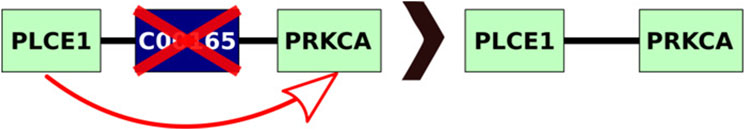 www.frontiersin.org