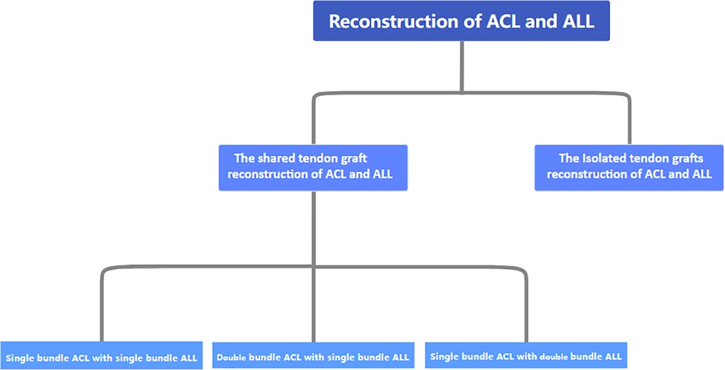 Frontiers  Progress in research on and classification of surgical