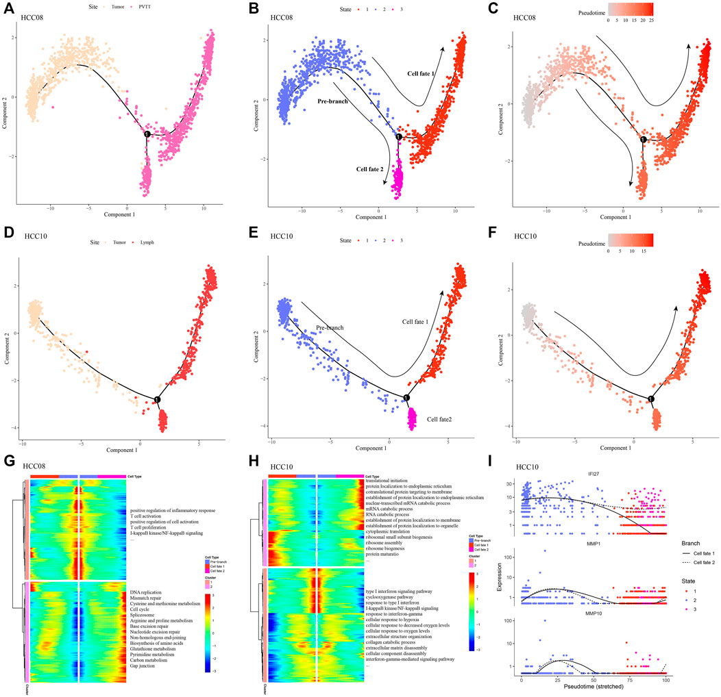 Frontiers  Pharmacogenetics of pediatric acute lymphoblastic leukemia in  Uruguay: adverse events related to induction phase drugs