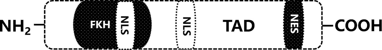 www.frontiersin.org