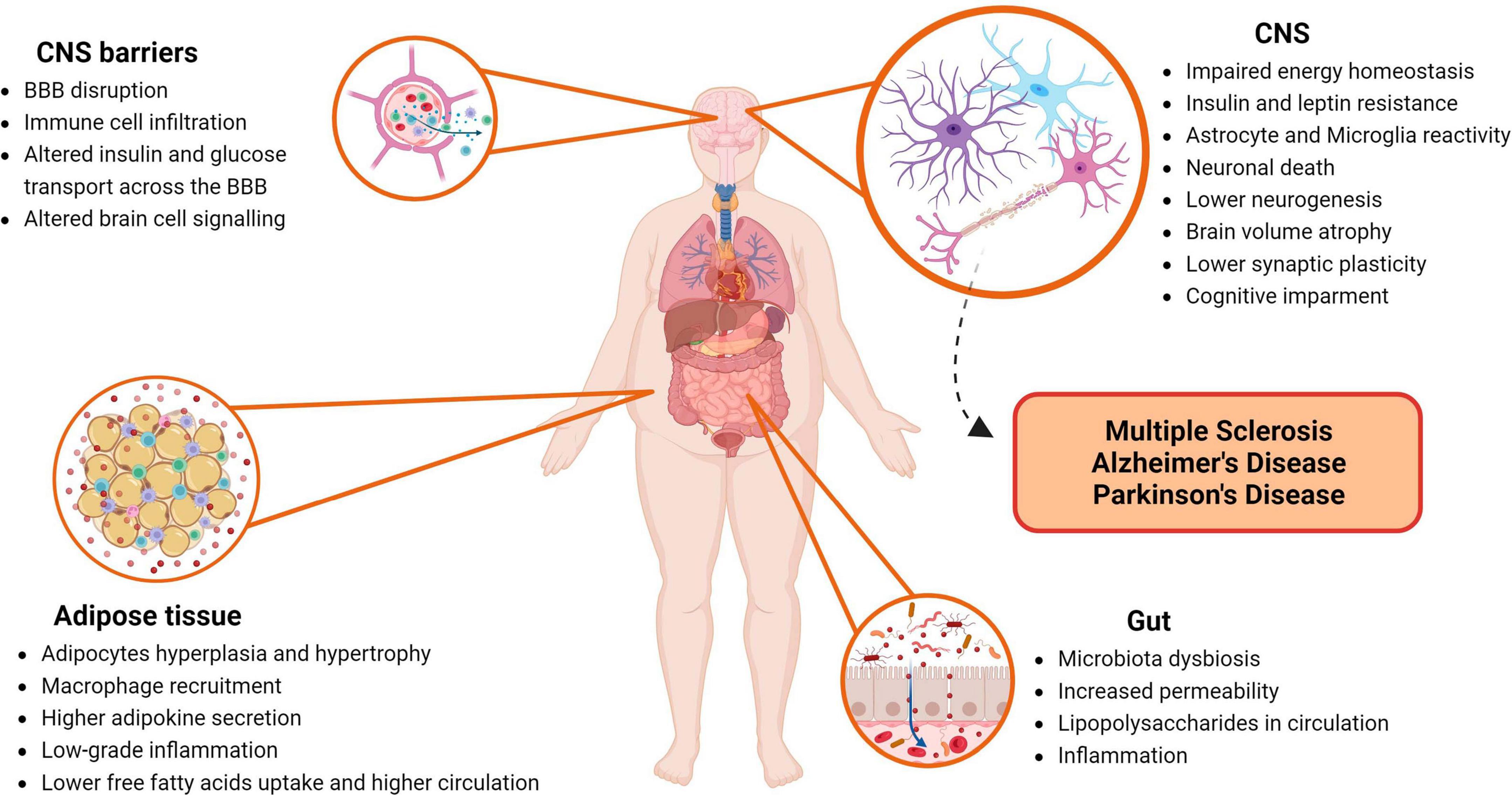 Natural Bioactive Molecules as Neuromedicines for the Treatment/Prevention  of Neurodegenerative Diseases