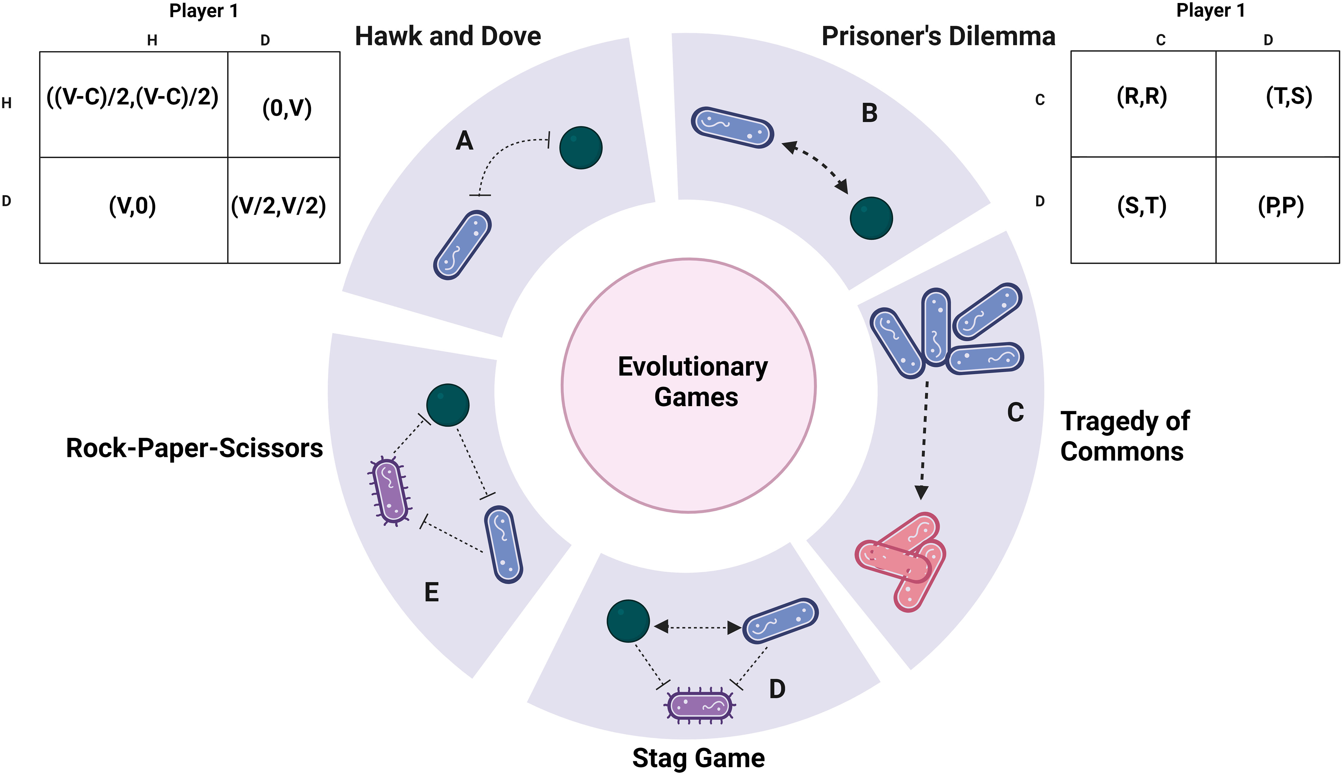 Frontiers  Selective Host Cell Death by Staphylococcus aureus: A Strategy  for Bacterial Persistence