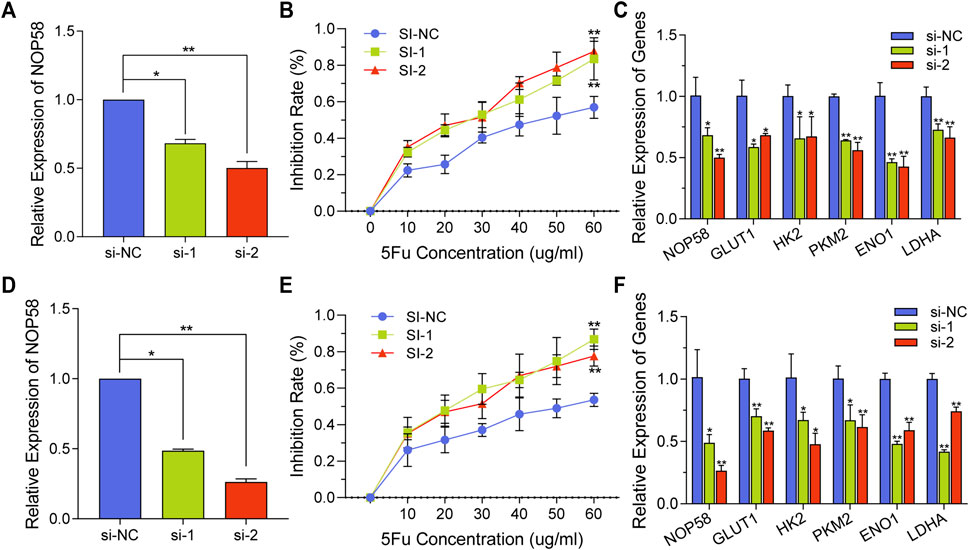 CRISPR/Cas9-mediated inactivation of miR-34a and miR-34b/c in HCT116  colorectal cancer cells: comprehensive characterization after exposure to  5-FU reveals EMT and autophagy as key processes regulated by miR-34