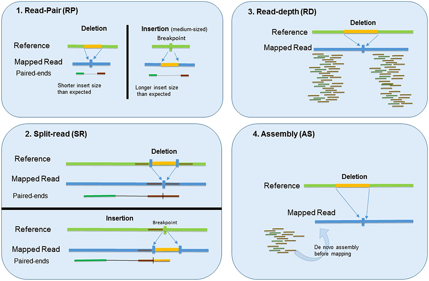 Whole-genome CNV analysis: advances in computational approaches