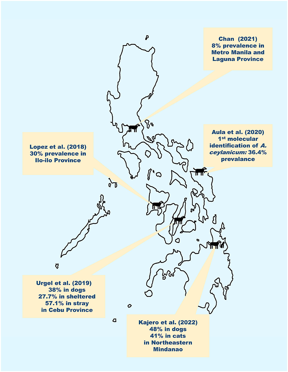 Suspected-Resistant Hookworm Infections in Dogs & Cats