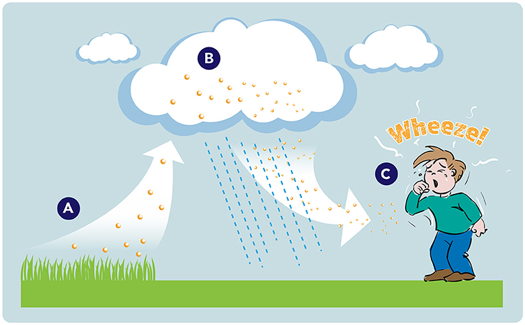 Figure 2 - People who suffer from thunderstorm asthma find that their symptoms start or get worse after a thunderstorm.
