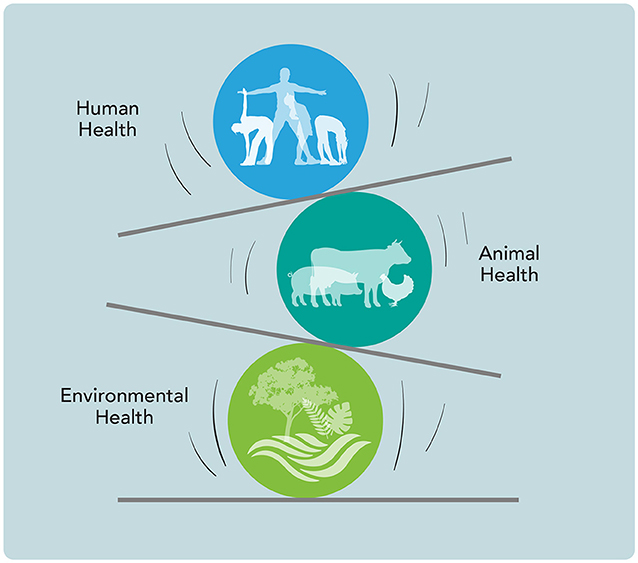 Figure 3 - The health of humans, animals, and the environment are all connected.