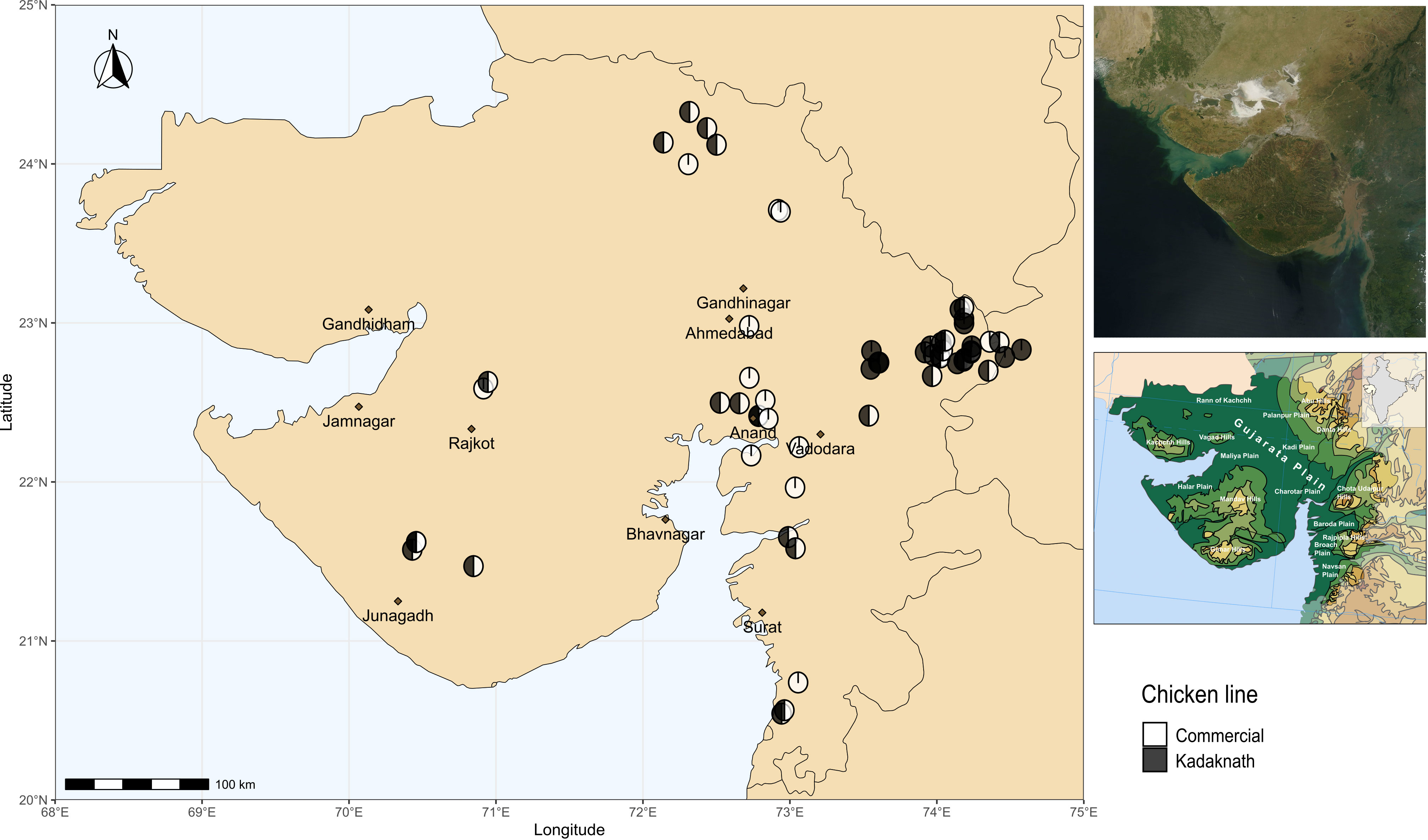 The heatmap of RVA or RVC infection compared with control. (A) The