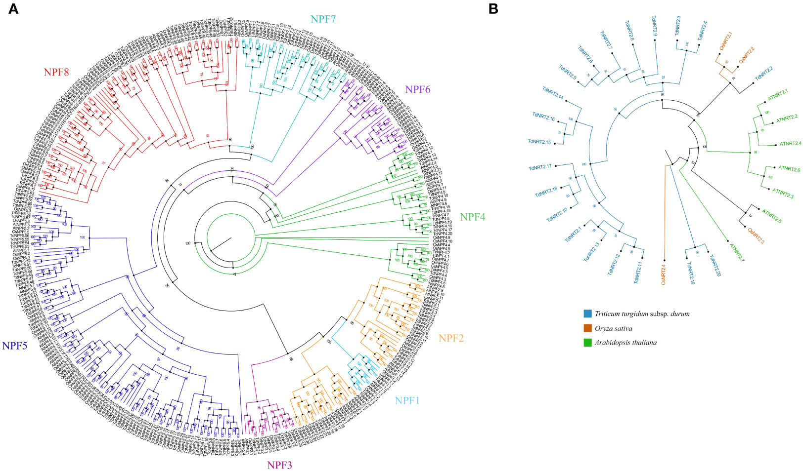 Frontiers  Wood density is related to aboveground biomass and productivity  along a successional gradient in upper Andean tropical forests