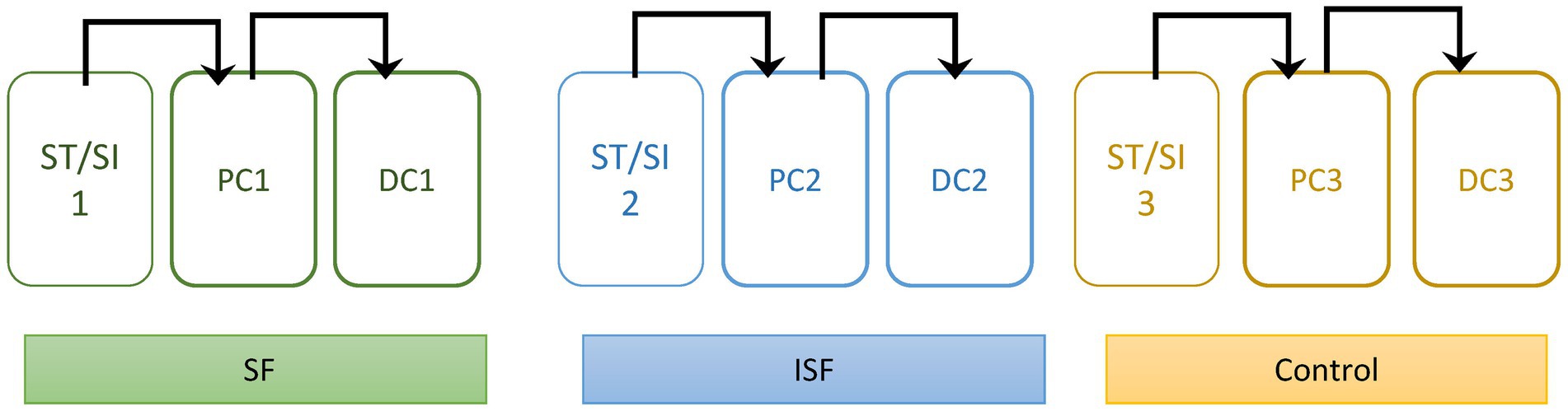 www.frontiersin.org