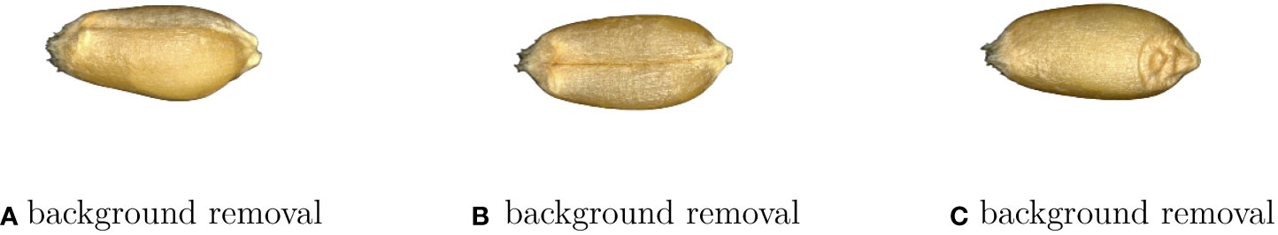 www.frontiersin.org