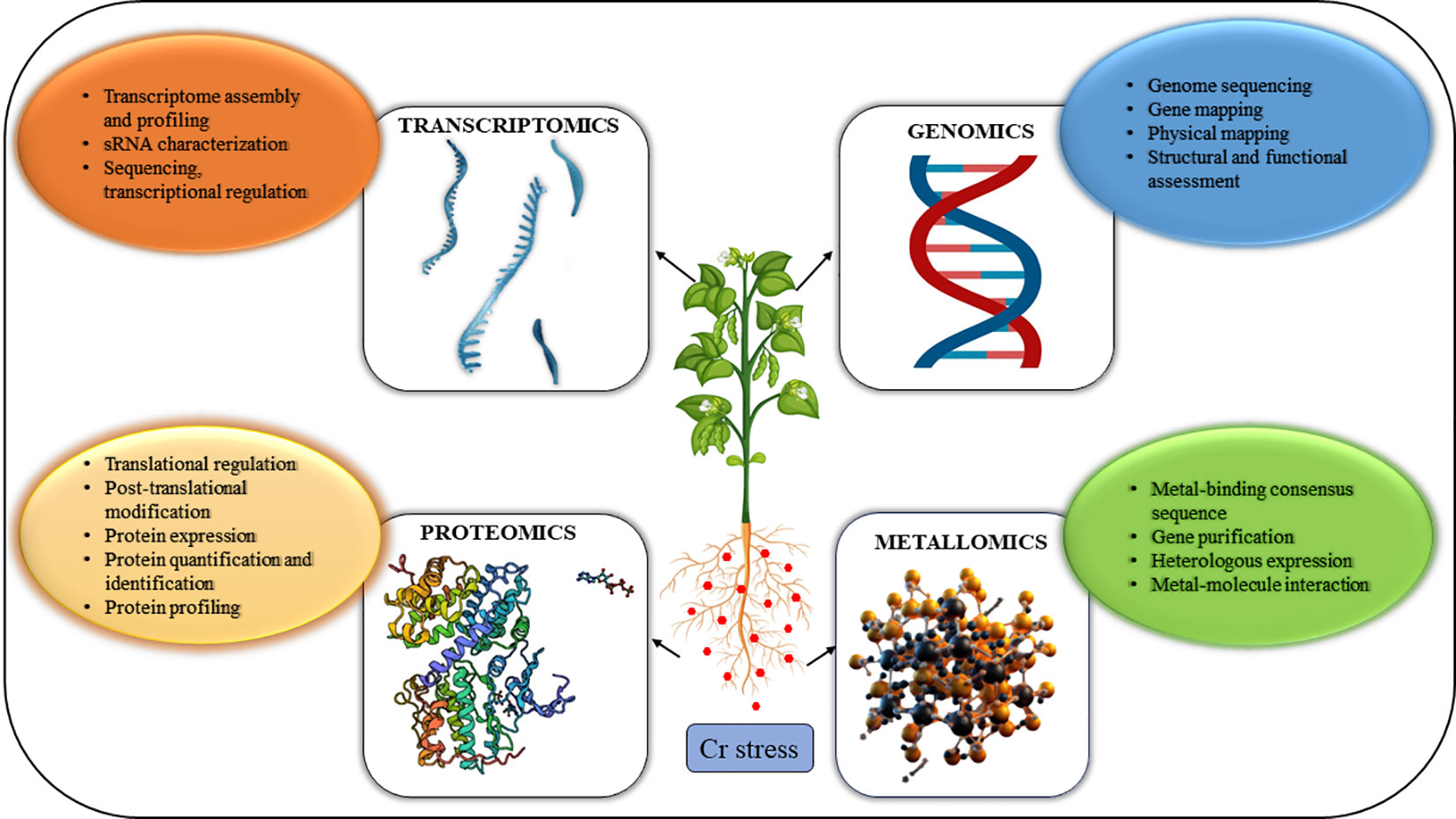 Researchers develop new method to analyze proteins in ecologically  significant moss