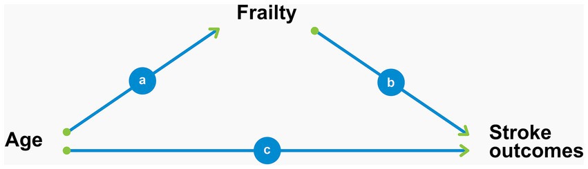 www.frontiersin.org