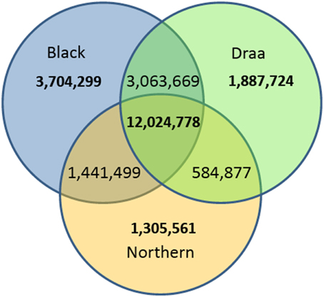 www.frontiersin.org