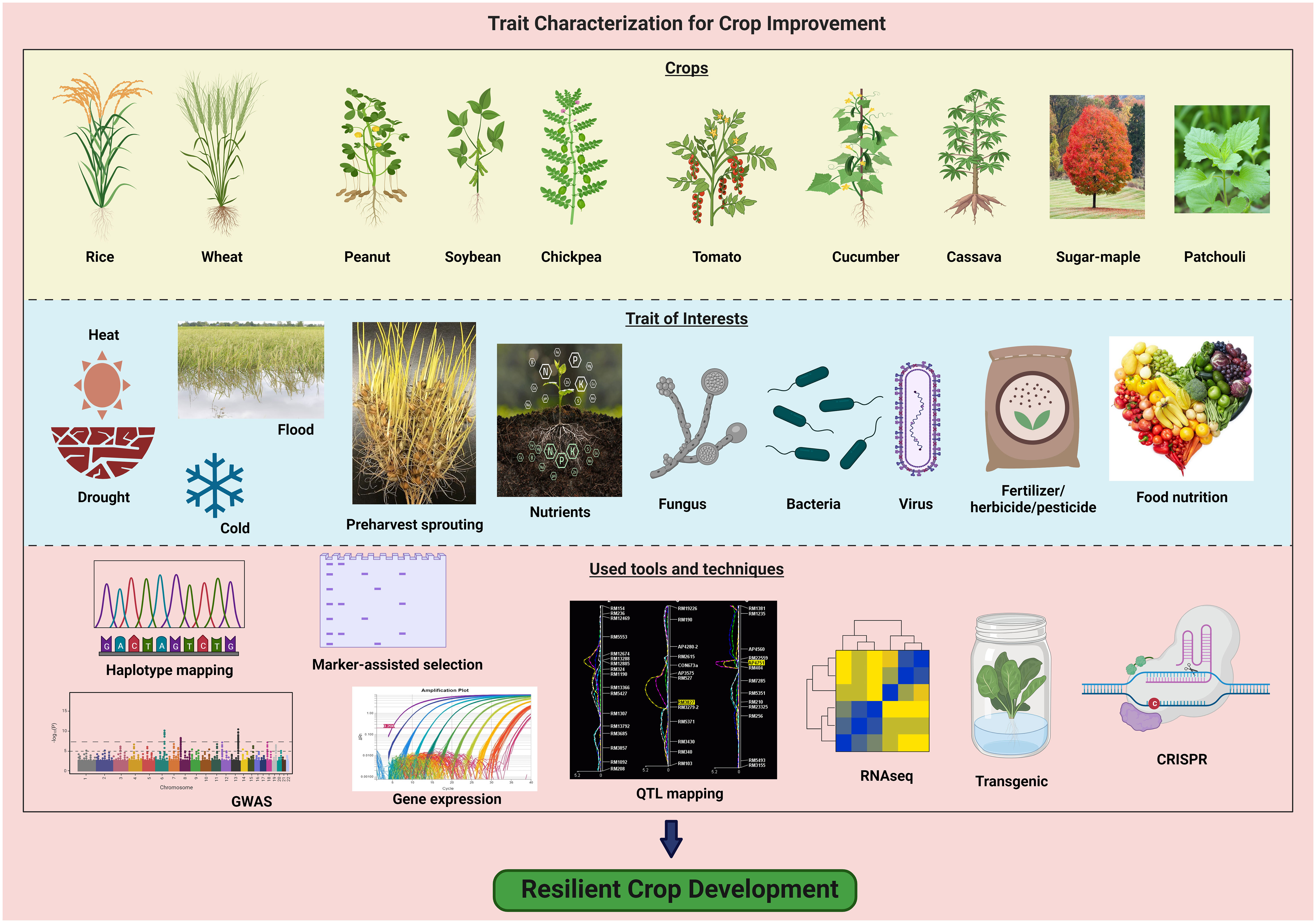 Frontiers  Characterization of fungal pathogens and germplasm