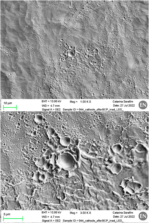 www.frontiersin.org