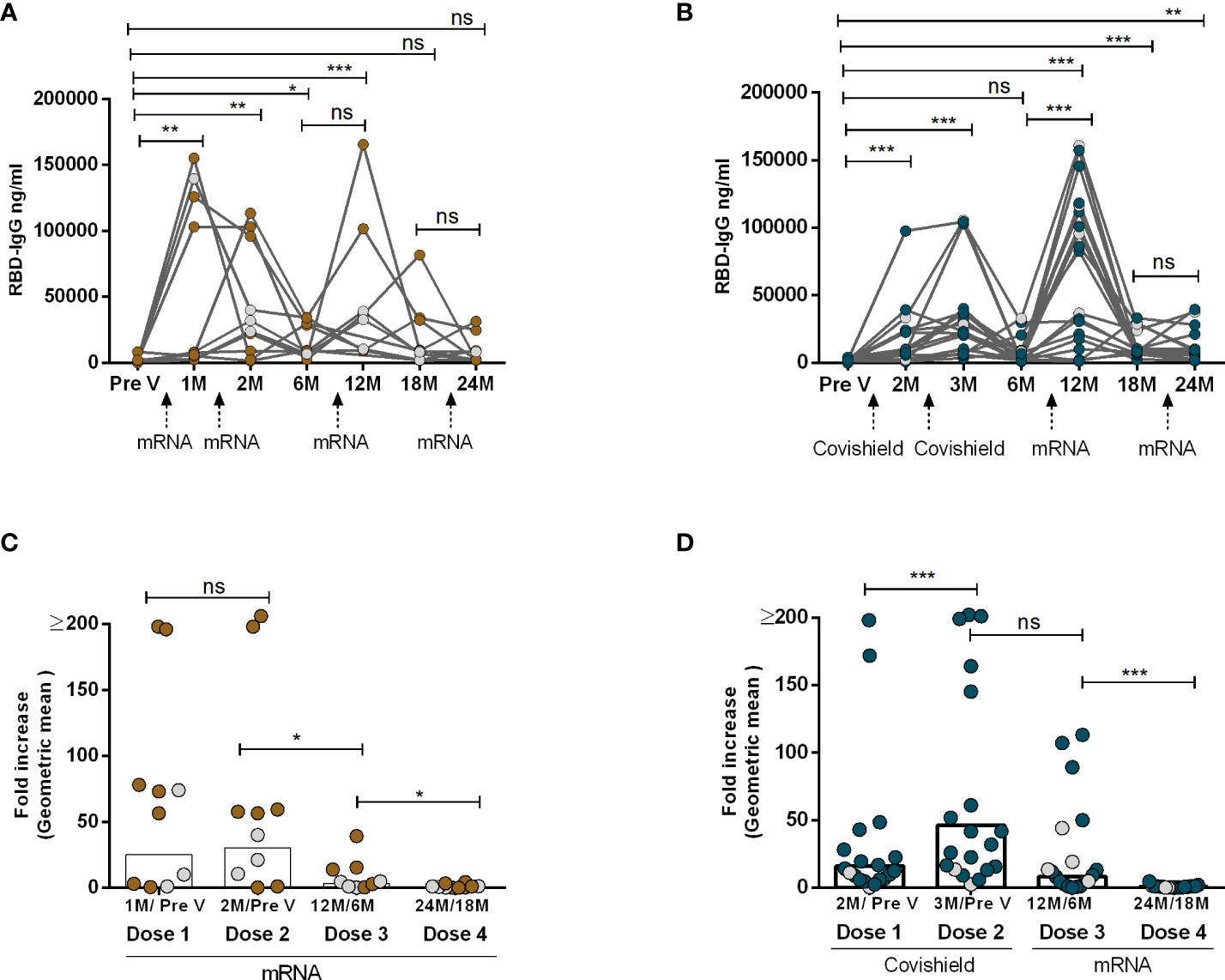 Frontiers | Appearance of tolerance-induction and non-inflammatory  SARS-CoV-2 spike-specific IgG4 antibodies after COVID-19 booster  vaccinations