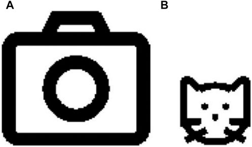 www.frontiersin.org