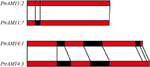 www.frontiersin.org