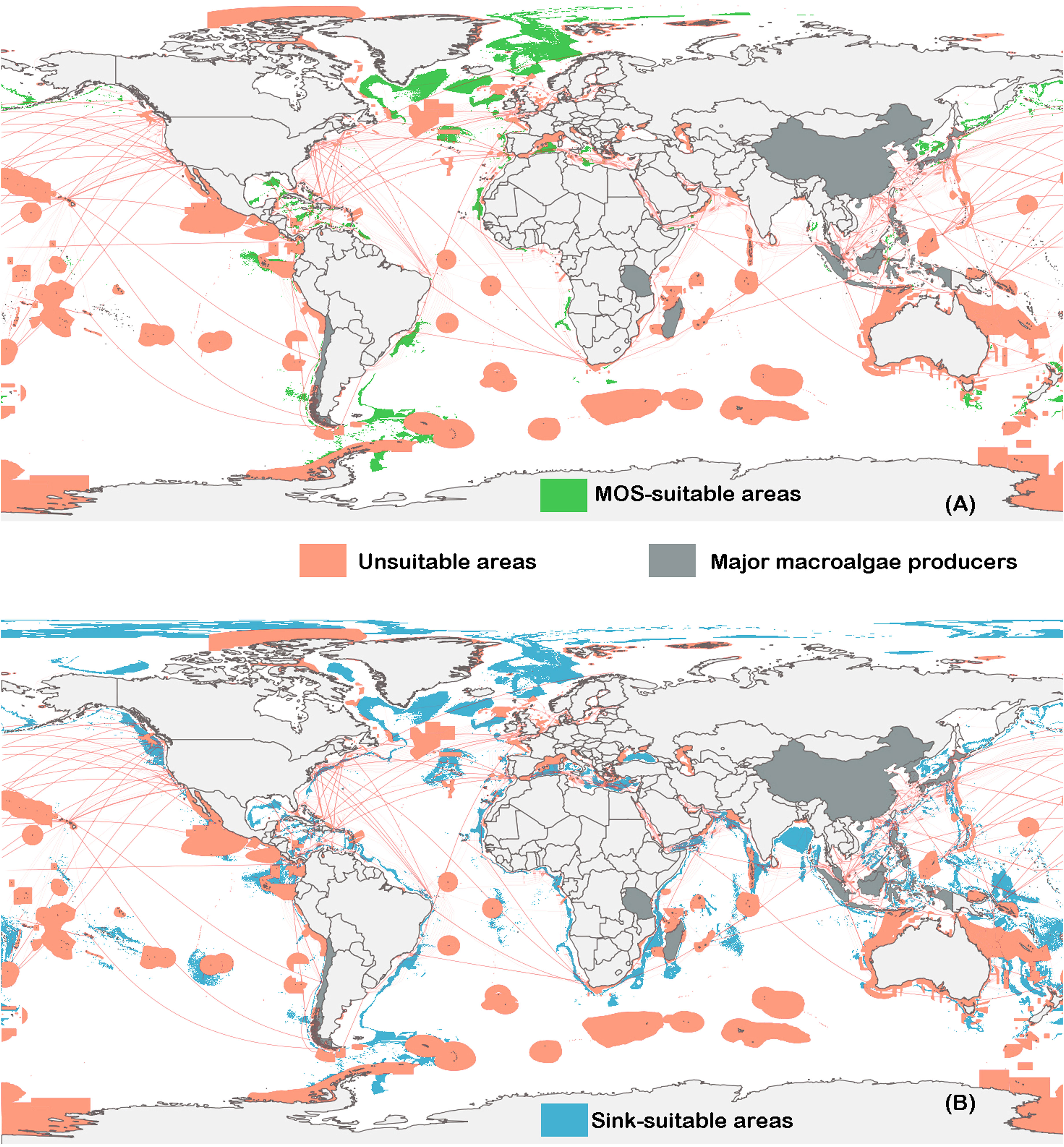 Testing the climate intervention potential of ocean afforestation using the Great Atlantic Sargassum Belt