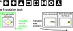 www.frontiersin.org