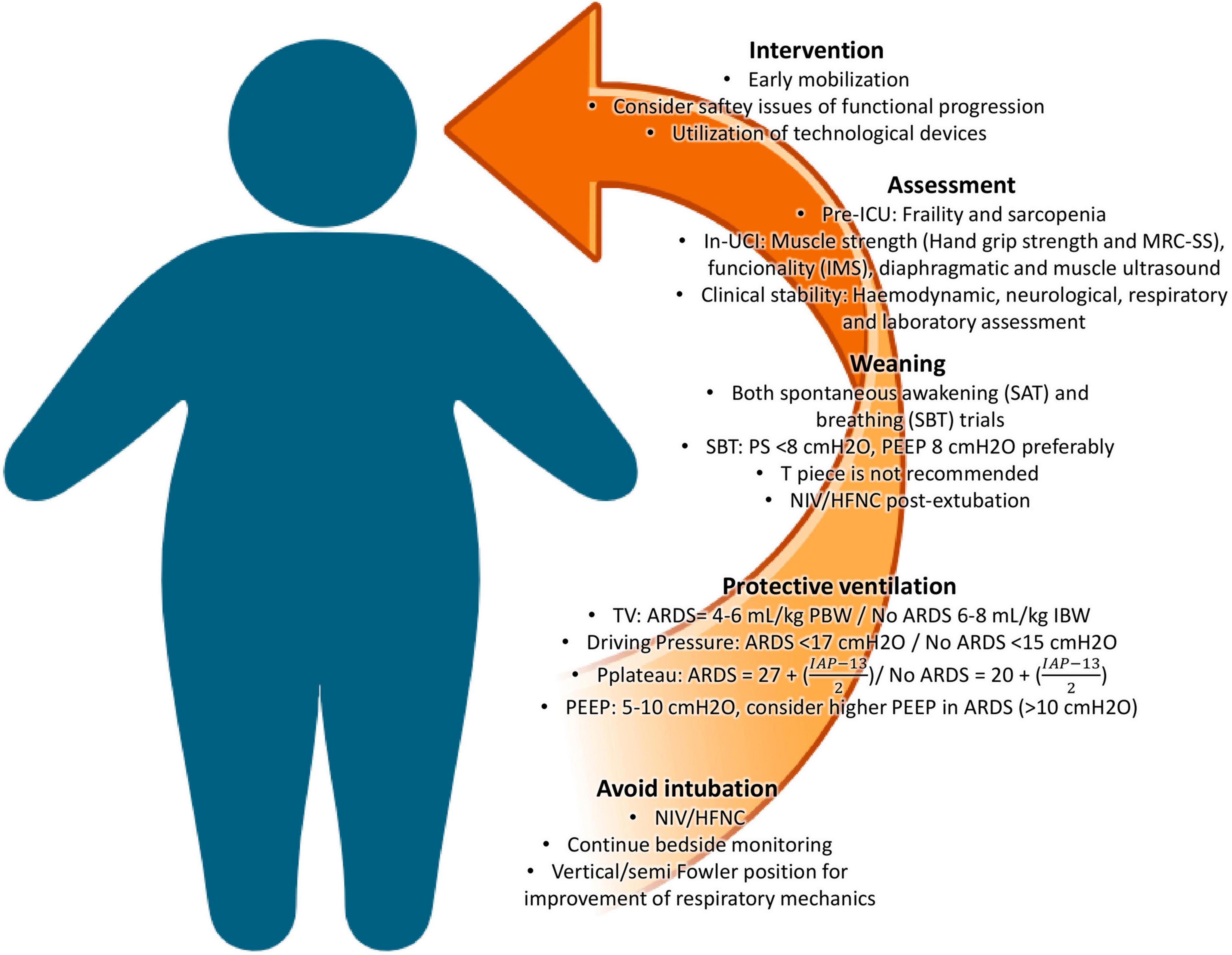 Frontiers  Physical and respiratory therapy in the critically ill